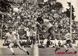 Lanus del 84